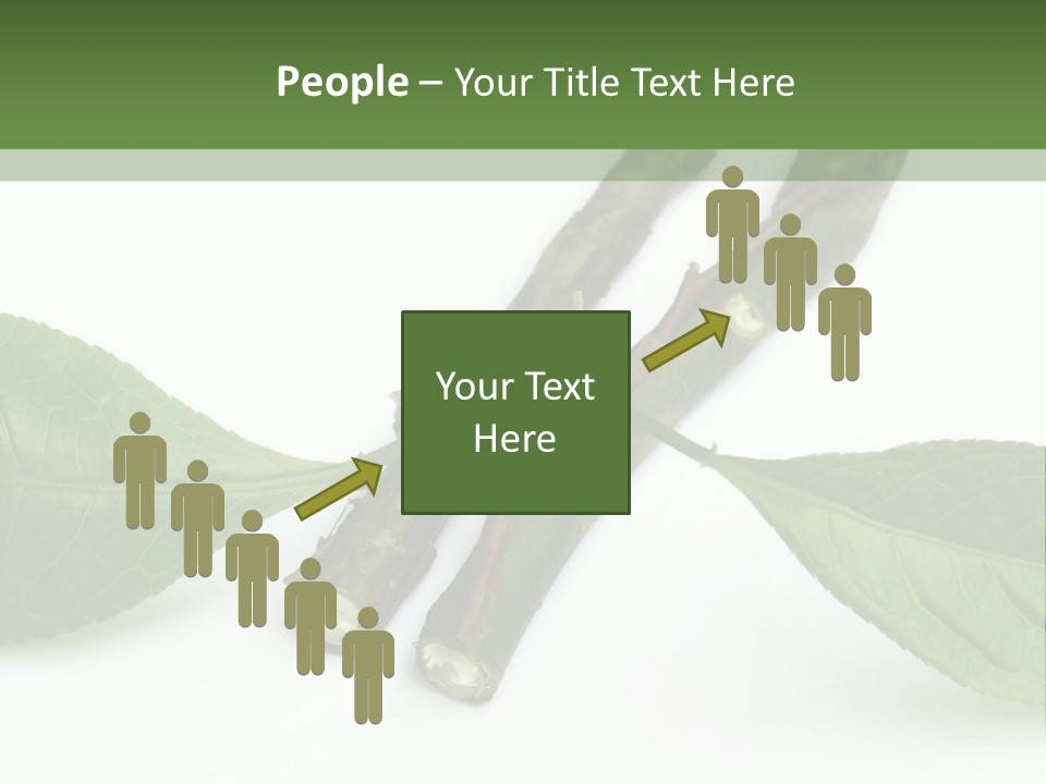 Cultural Health Scent PowerPoint Template