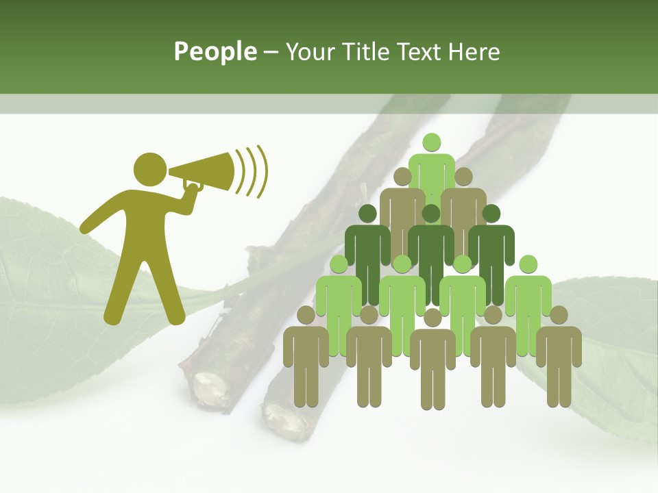 Cultural Health Scent PowerPoint Template