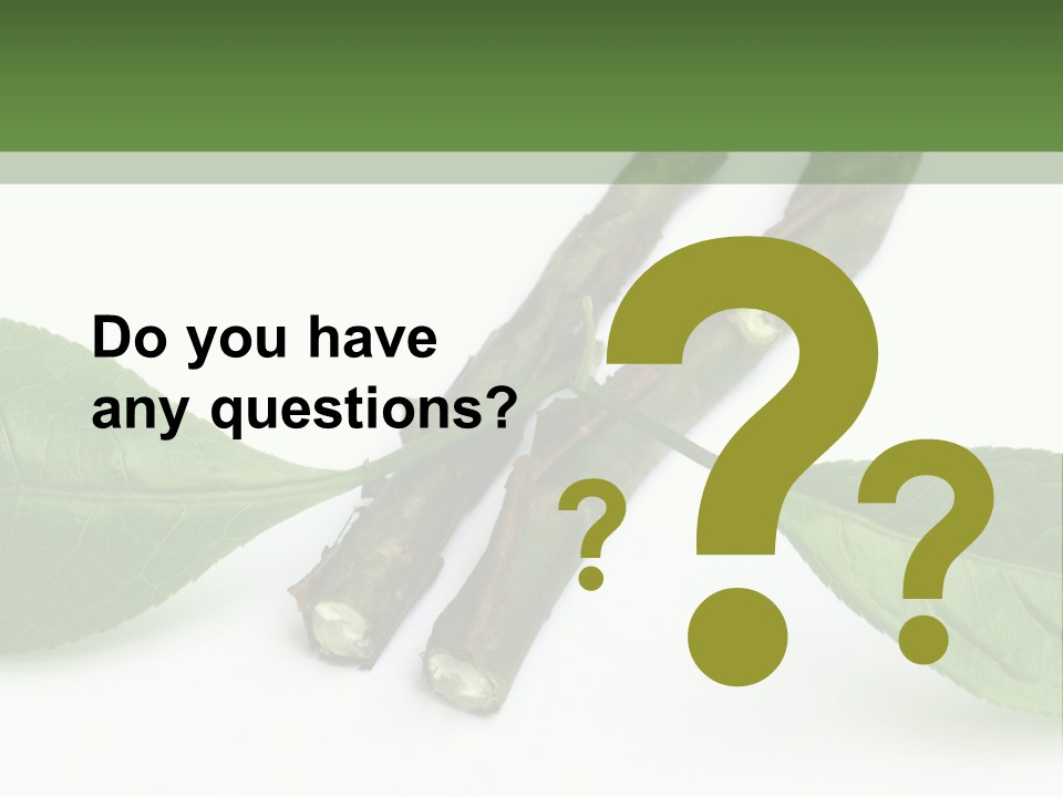 Cultural Health Scent PowerPoint Template