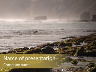 Reef Water Shore PowerPoint Template