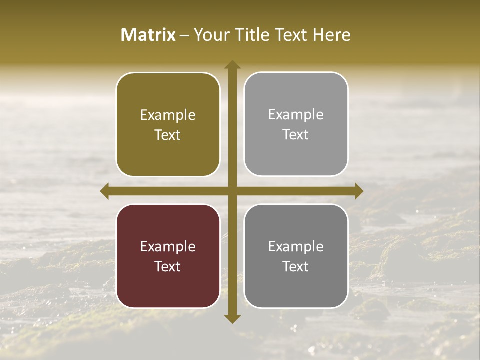 Reef Water Shore PowerPoint Template