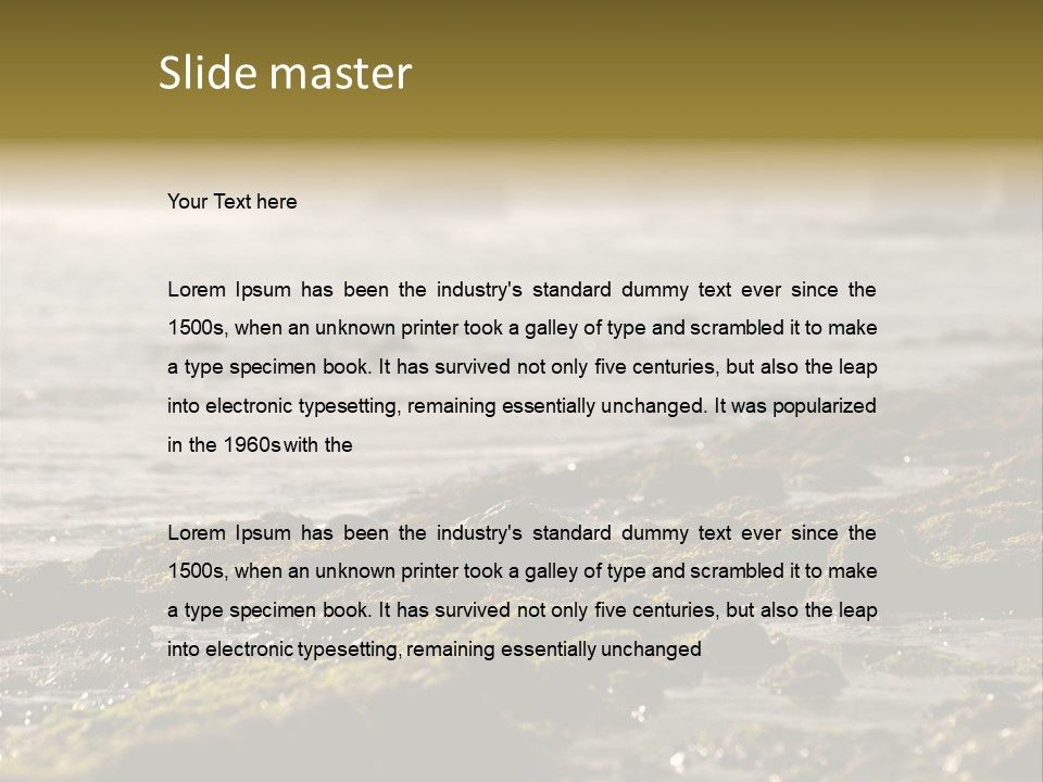 Reef Water Shore PowerPoint Template