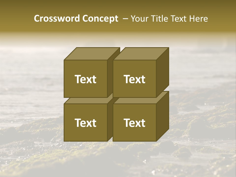 Reef Water Shore PowerPoint Template