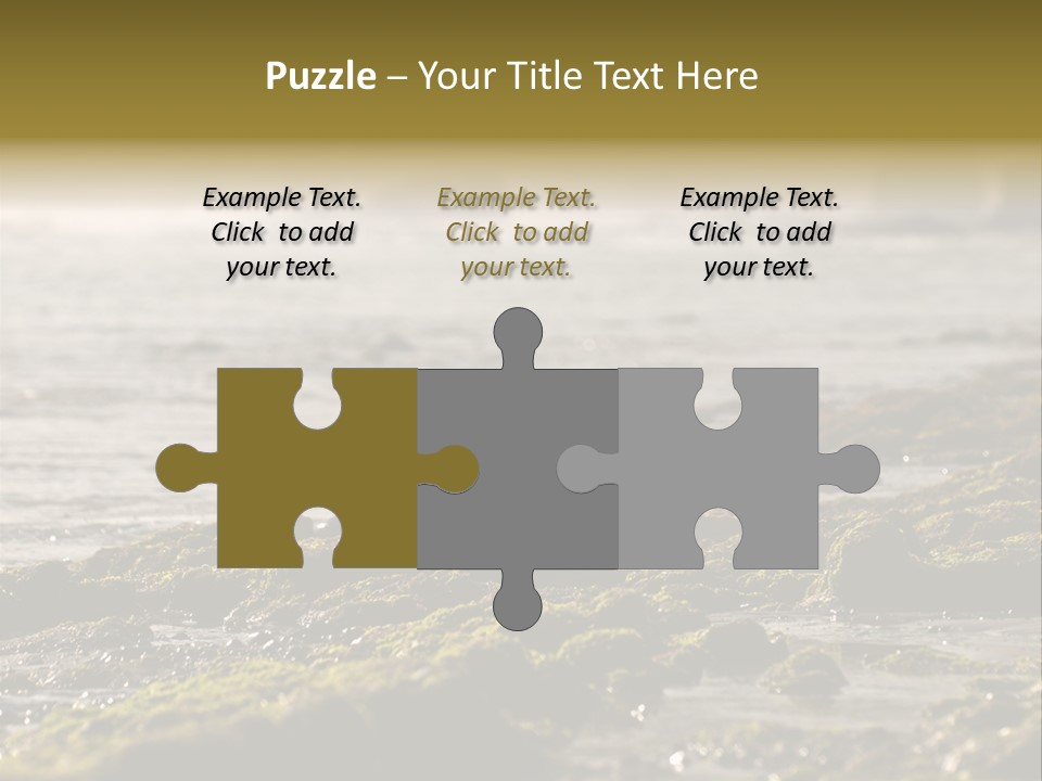 Reef Water Shore PowerPoint Template