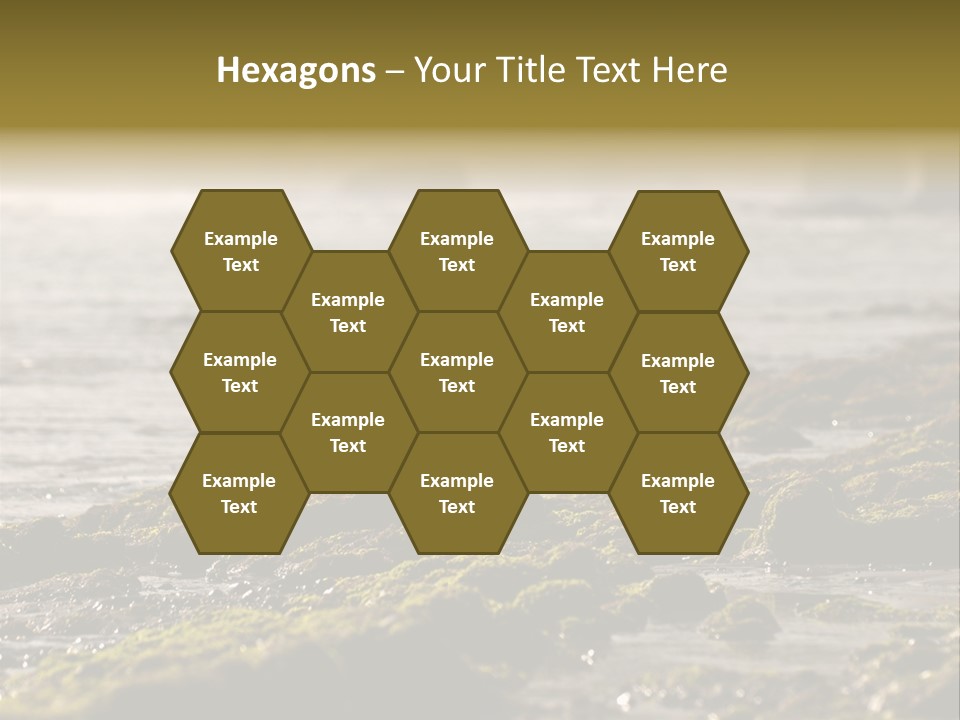 Reef Water Shore PowerPoint Template