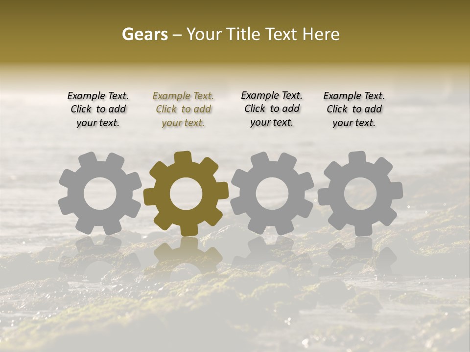 Reef Water Shore PowerPoint Template