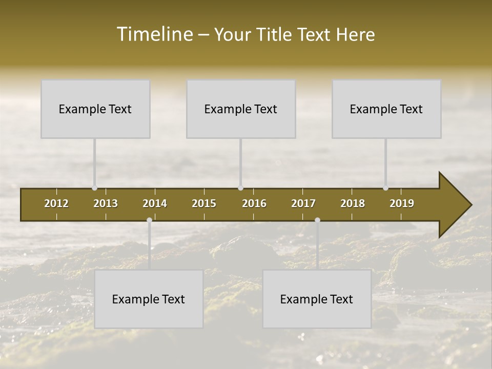 Reef Water Shore PowerPoint Template