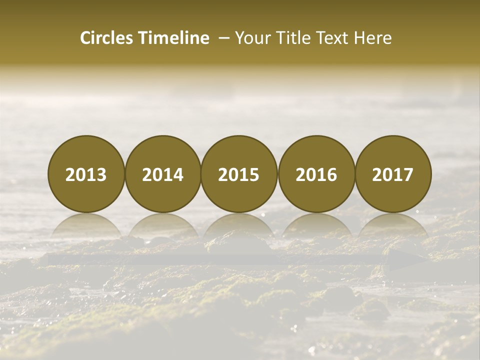 Reef Water Shore PowerPoint Template