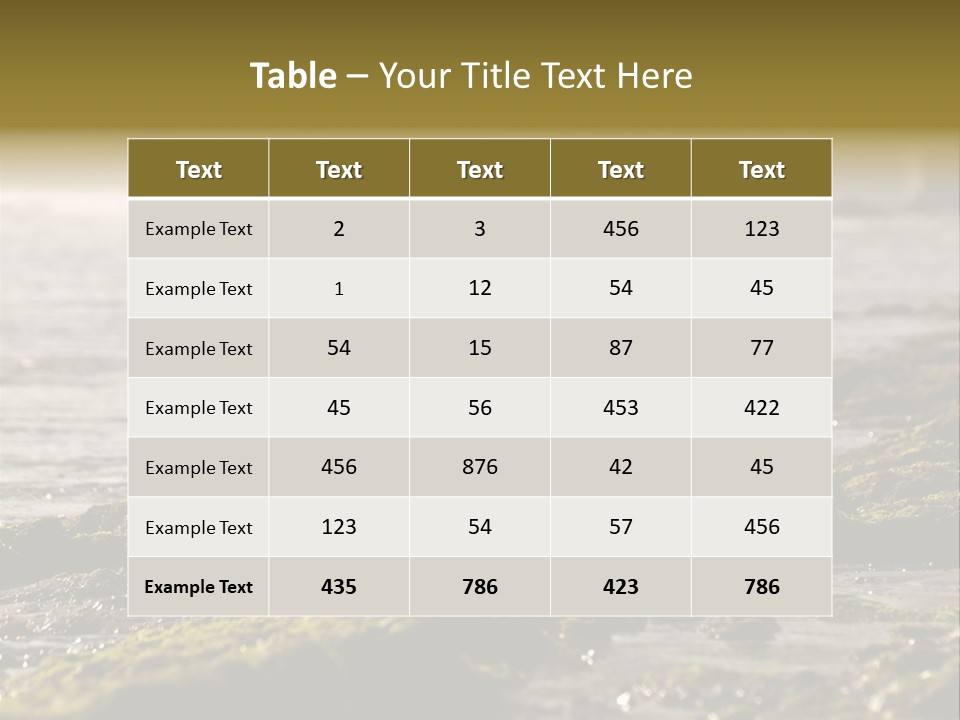 Reef Water Shore PowerPoint Template