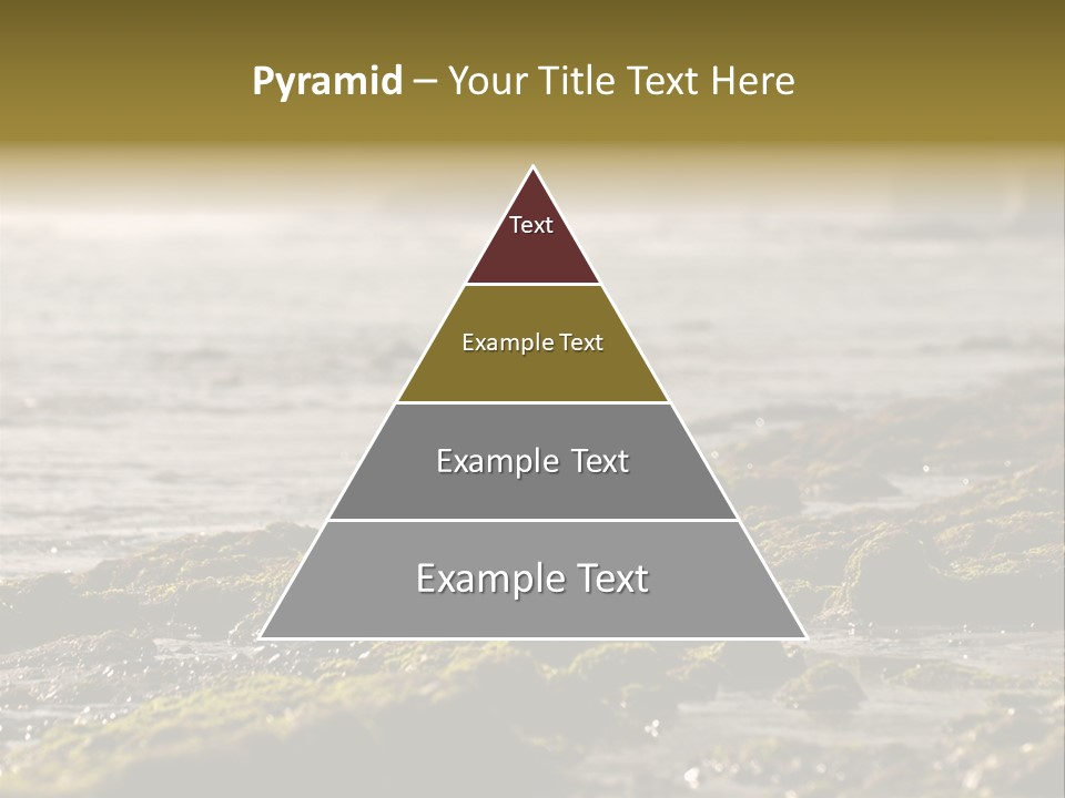 Reef Water Shore PowerPoint Template