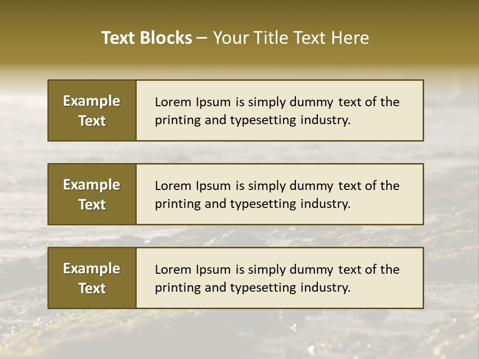 Reef Water Shore PowerPoint Template
