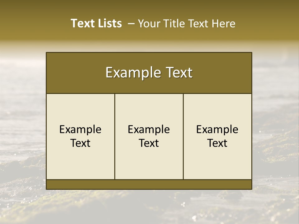 Reef Water Shore PowerPoint Template