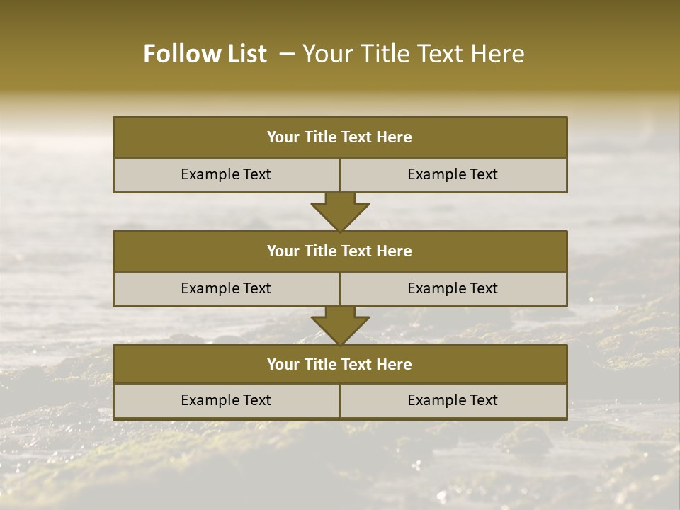 Reef Water Shore PowerPoint Template
