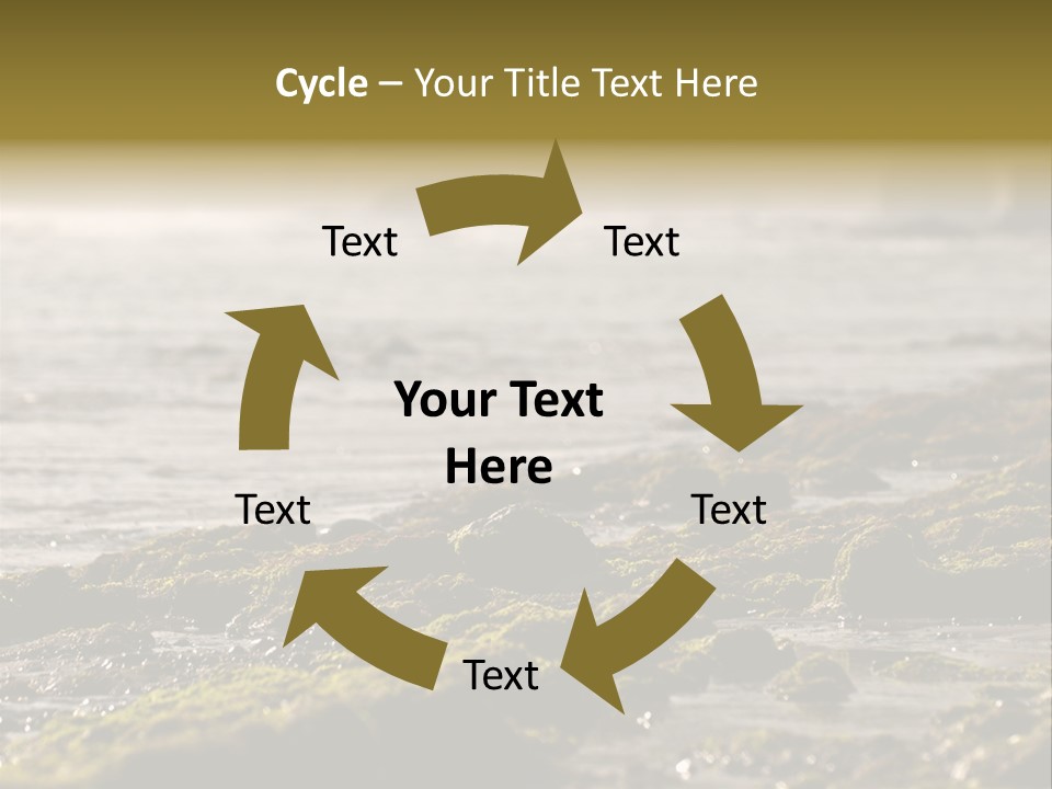 Reef Water Shore PowerPoint Template