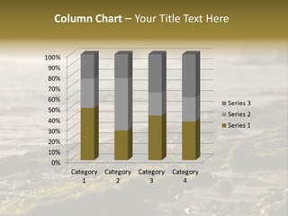 Reef Water Shore PowerPoint Template