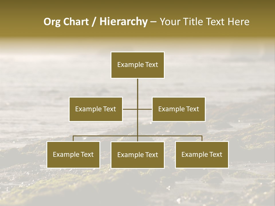 Reef Water Shore PowerPoint Template