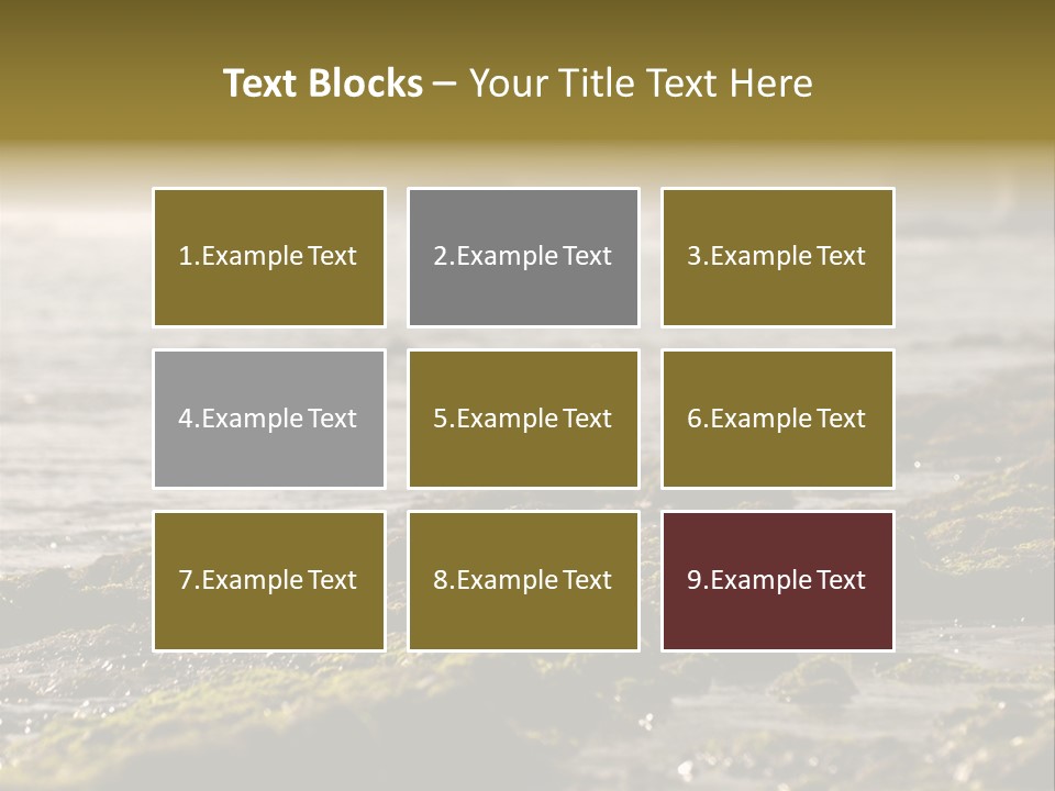 Reef Water Shore PowerPoint Template