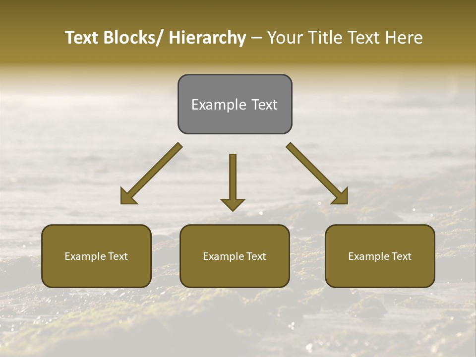 Reef Water Shore PowerPoint Template