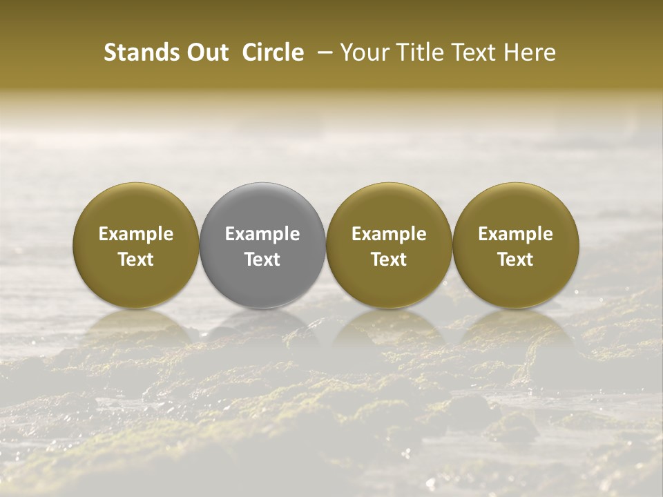 Reef Water Shore PowerPoint Template