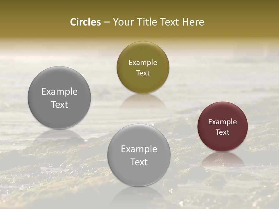 Reef Water Shore PowerPoint Template