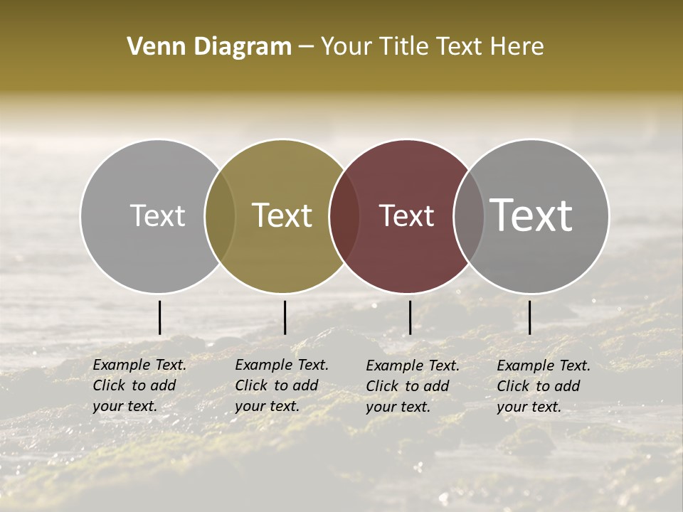 Reef Water Shore PowerPoint Template