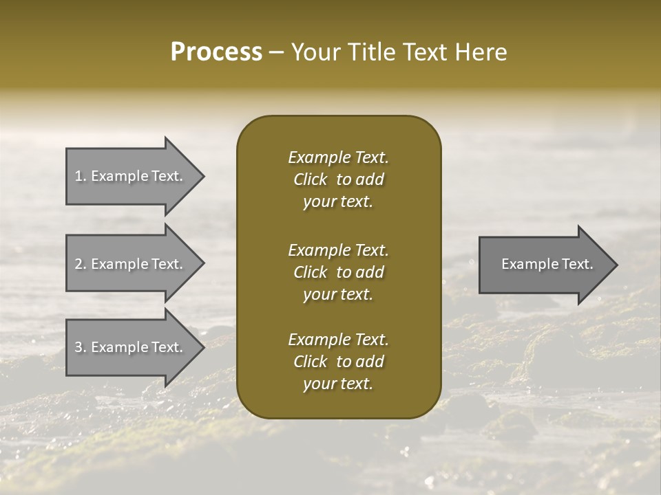 Reef Water Shore PowerPoint Template