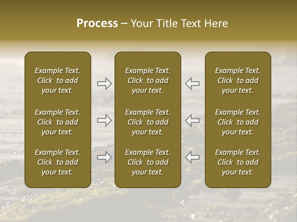 Reef Water Shore PowerPoint Template