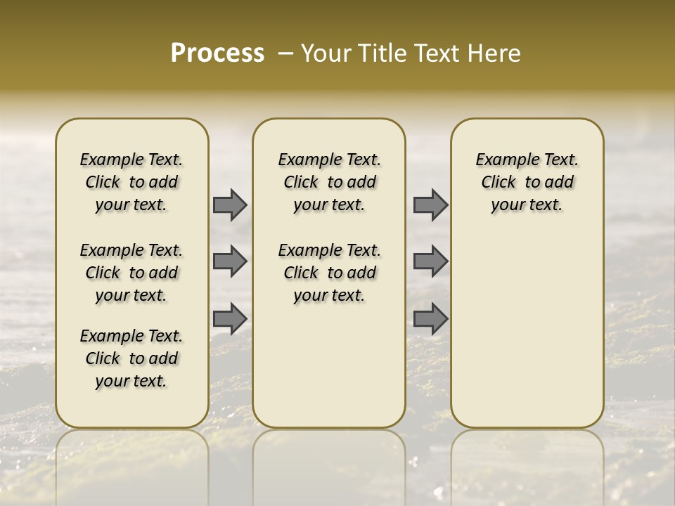 Reef Water Shore PowerPoint Template