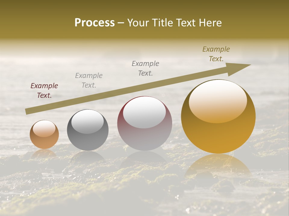 Reef Water Shore PowerPoint Template