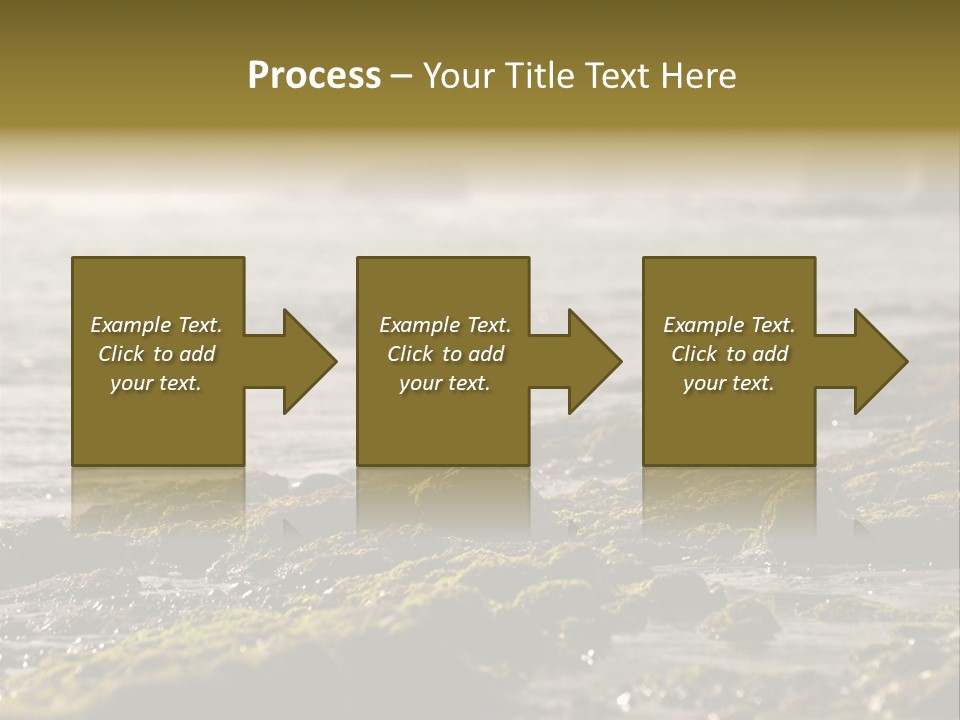 Reef Water Shore PowerPoint Template