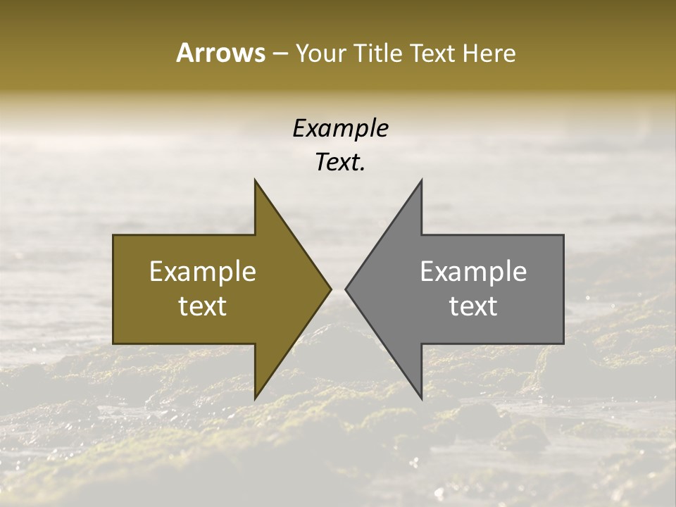 Reef Water Shore PowerPoint Template