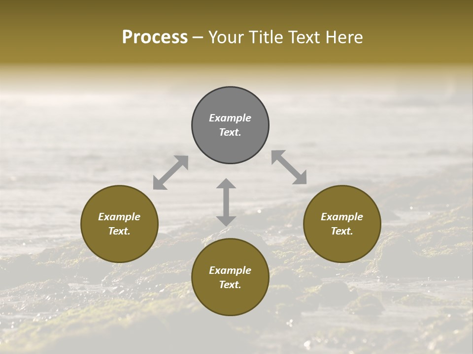 Reef Water Shore PowerPoint Template