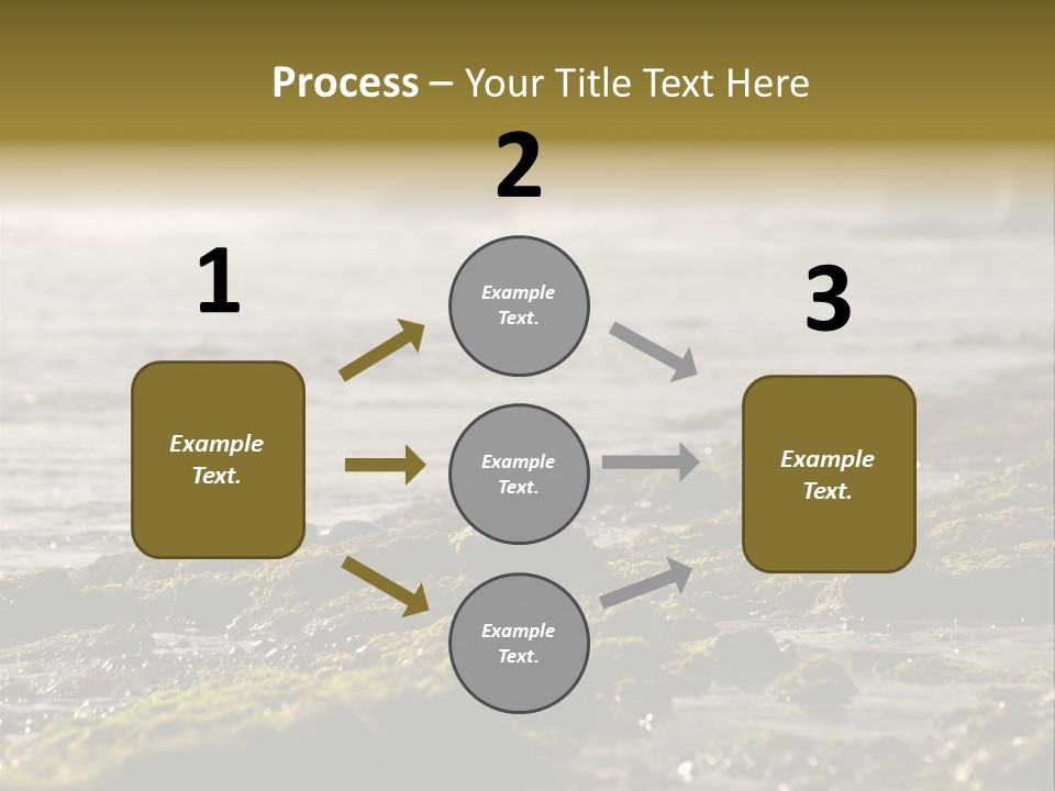 Reef Water Shore PowerPoint Template