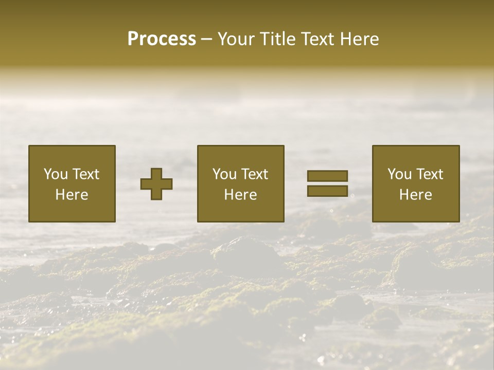 Reef Water Shore PowerPoint Template