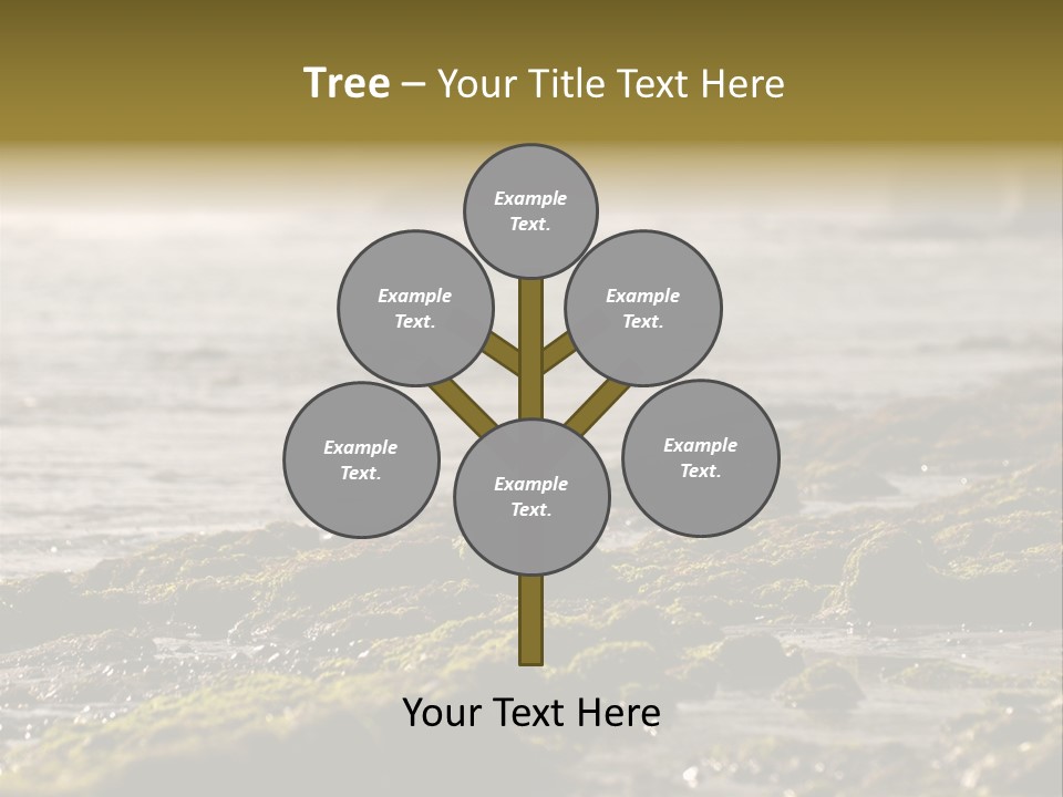 Reef Water Shore PowerPoint Template