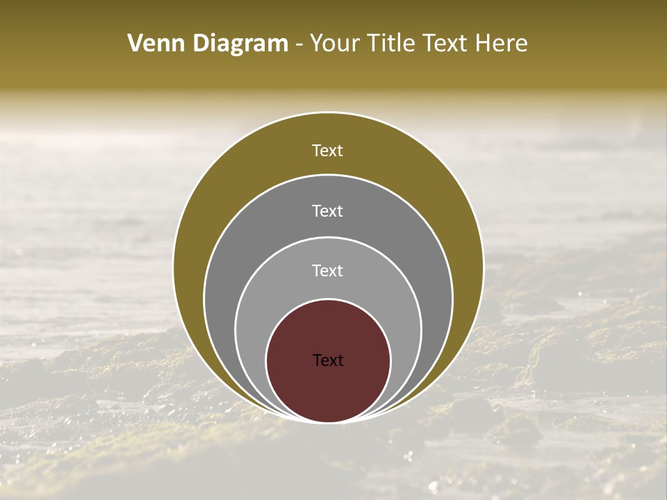 Reef Water Shore PowerPoint Template