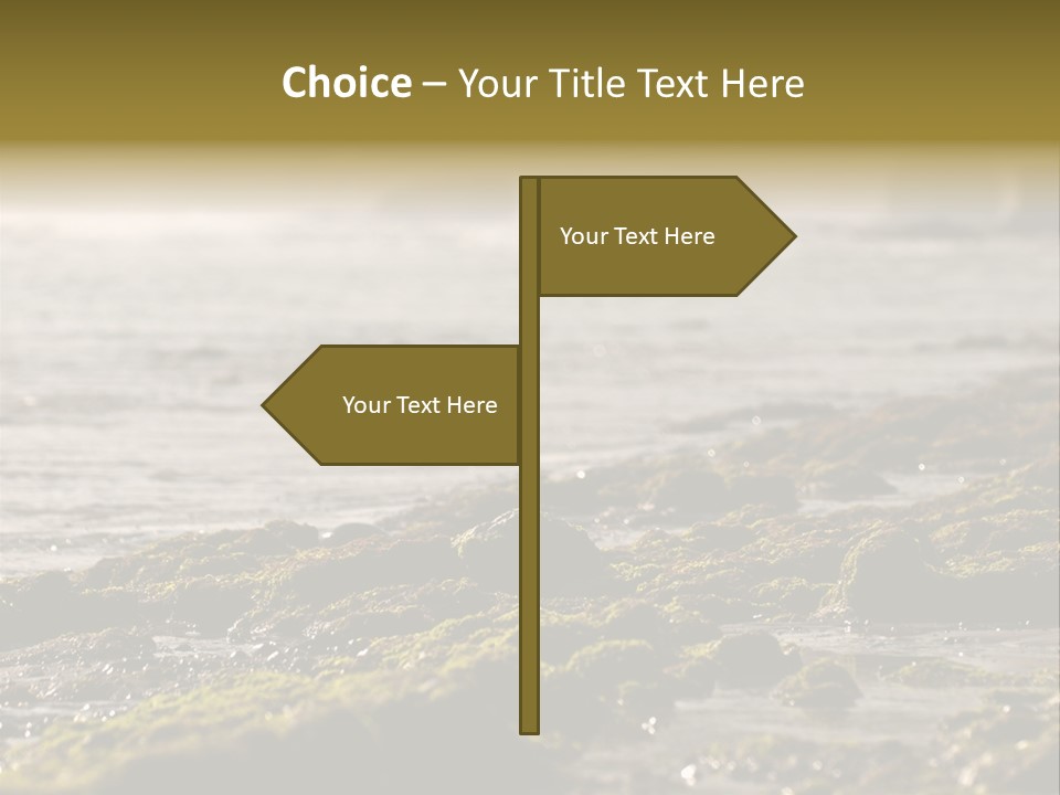 Reef Water Shore PowerPoint Template