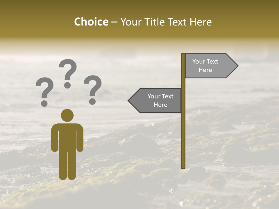 Reef Water Shore PowerPoint Template