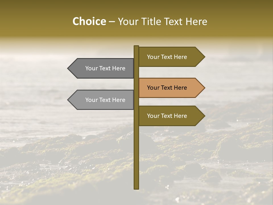 Reef Water Shore PowerPoint Template
