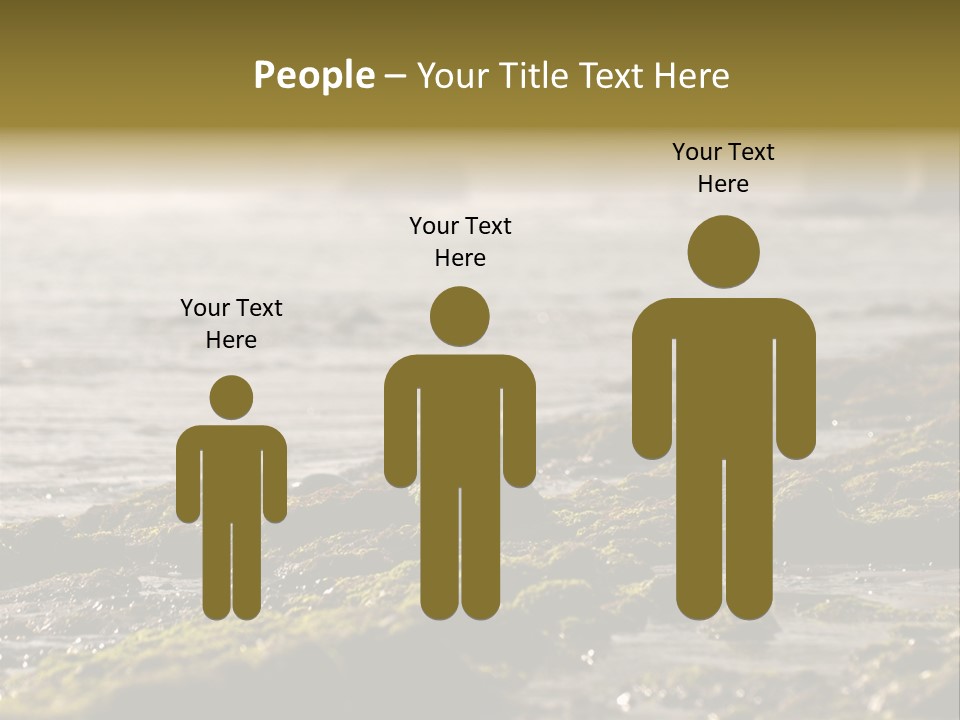 Reef Water Shore PowerPoint Template