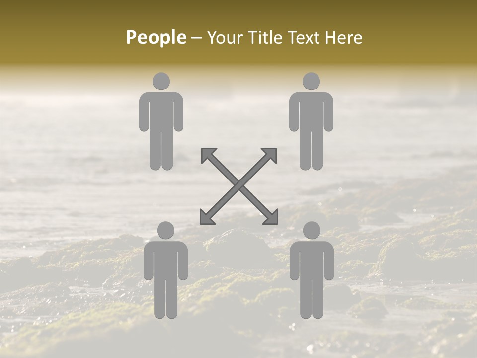 Reef Water Shore PowerPoint Template