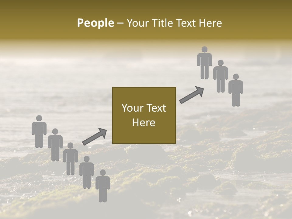 Reef Water Shore PowerPoint Template