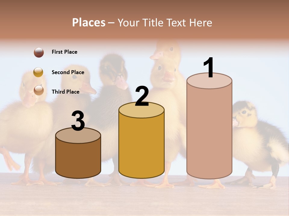 Egg Detail Few PowerPoint Template