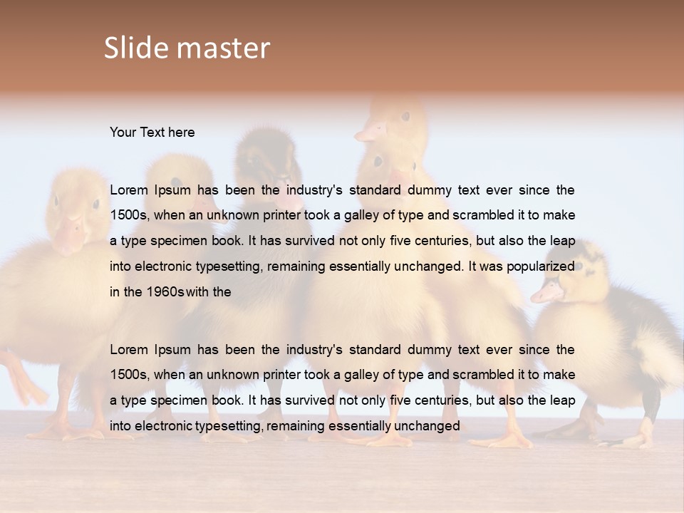 Egg Detail Few PowerPoint Template