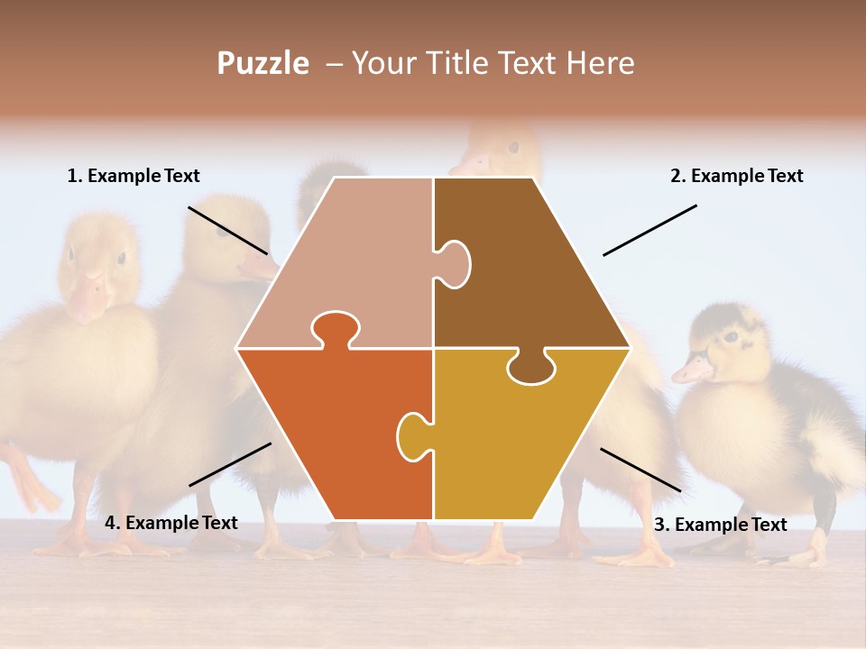 Egg Detail Few PowerPoint Template