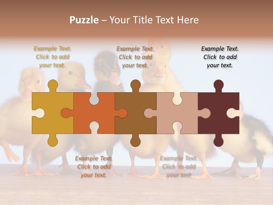 Egg Detail Few PowerPoint Template