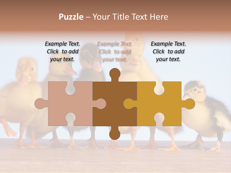 Egg Detail Few PowerPoint Template