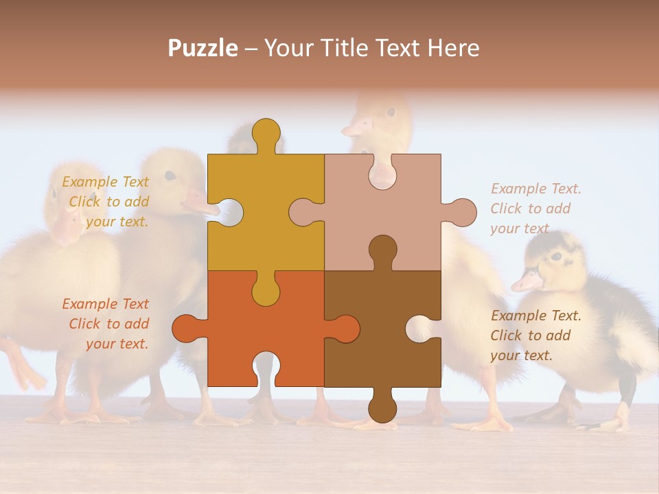 Egg Detail Few PowerPoint Template