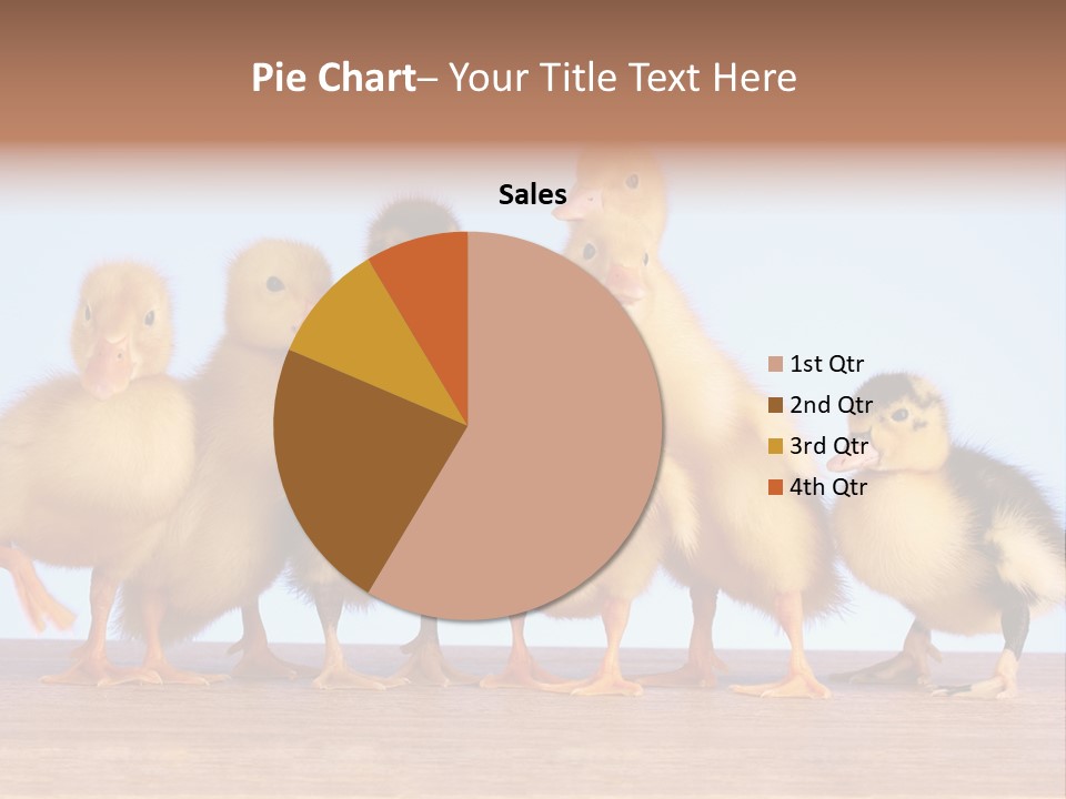 Egg Detail Few PowerPoint Template