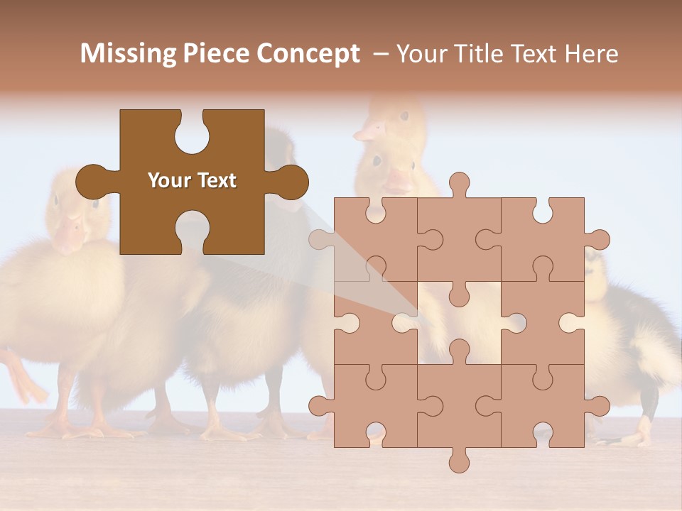 Egg Detail Few PowerPoint Template